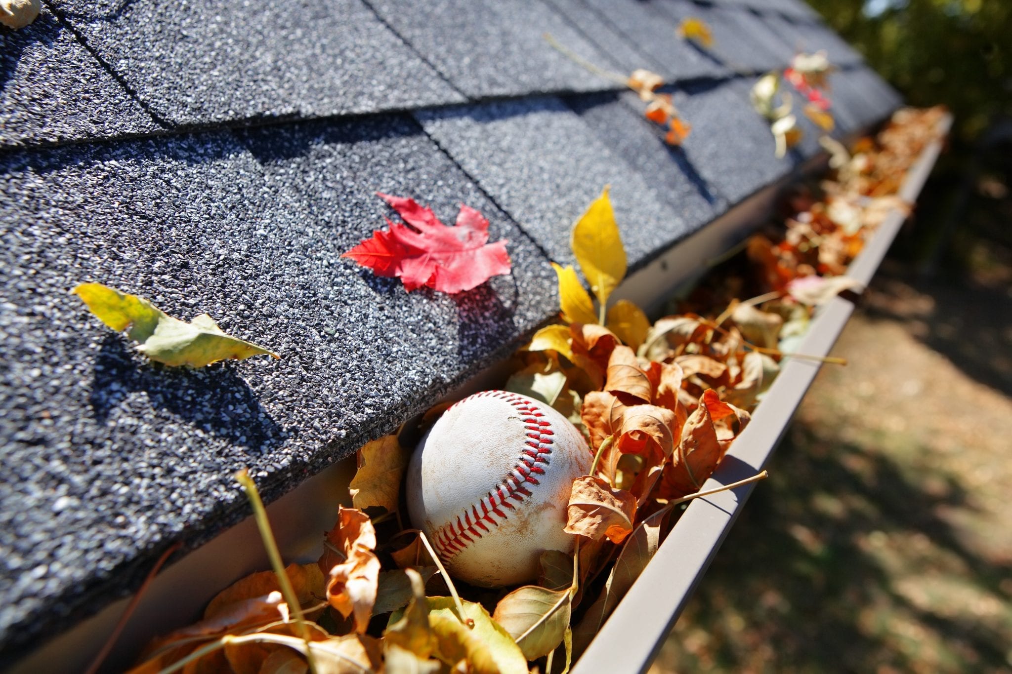 Calgary Roofing Companies | Claw Roofing | Cleaning Gutters