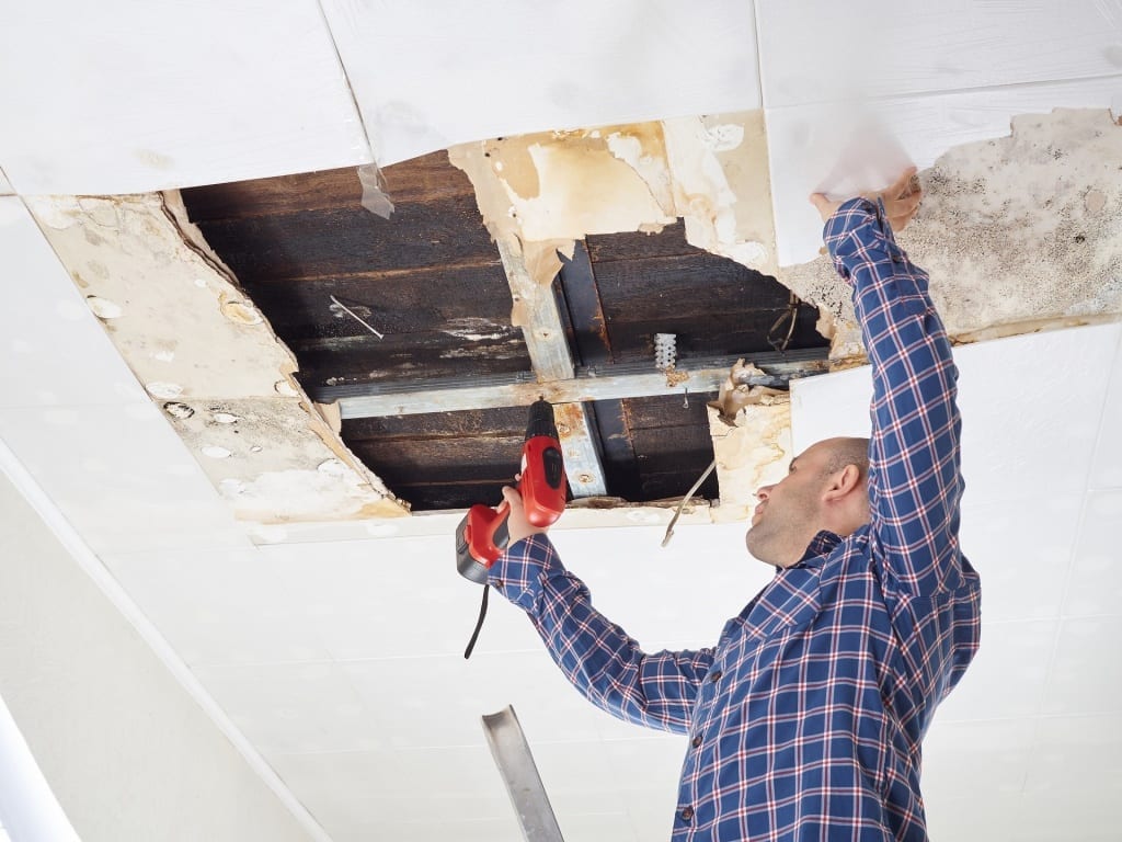 collapsed-roof-mold-Calgary-roof-replacement-repairs | Claw Roofing