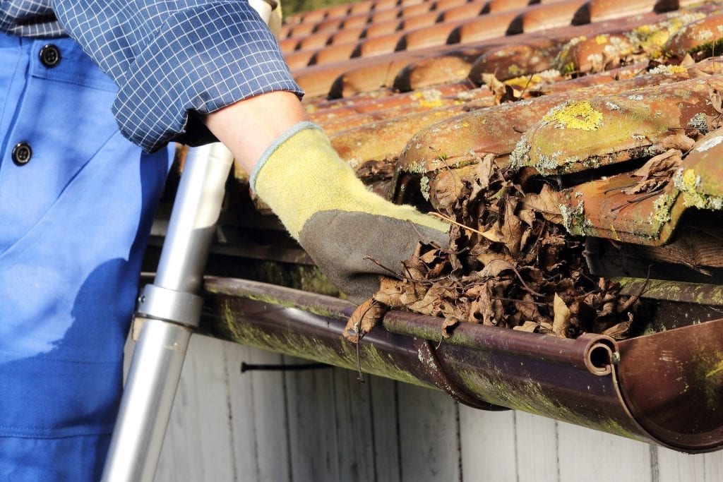 residential-roof-cleaning-calgary-claw-roofing.