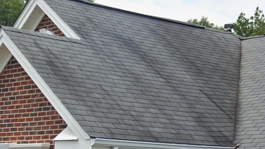 roof algae streaks